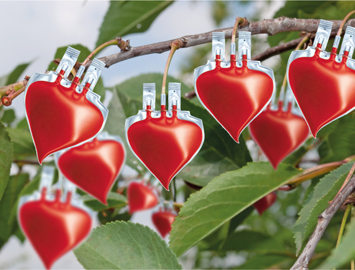 Appell zur Blutspende in der Ferienzeit