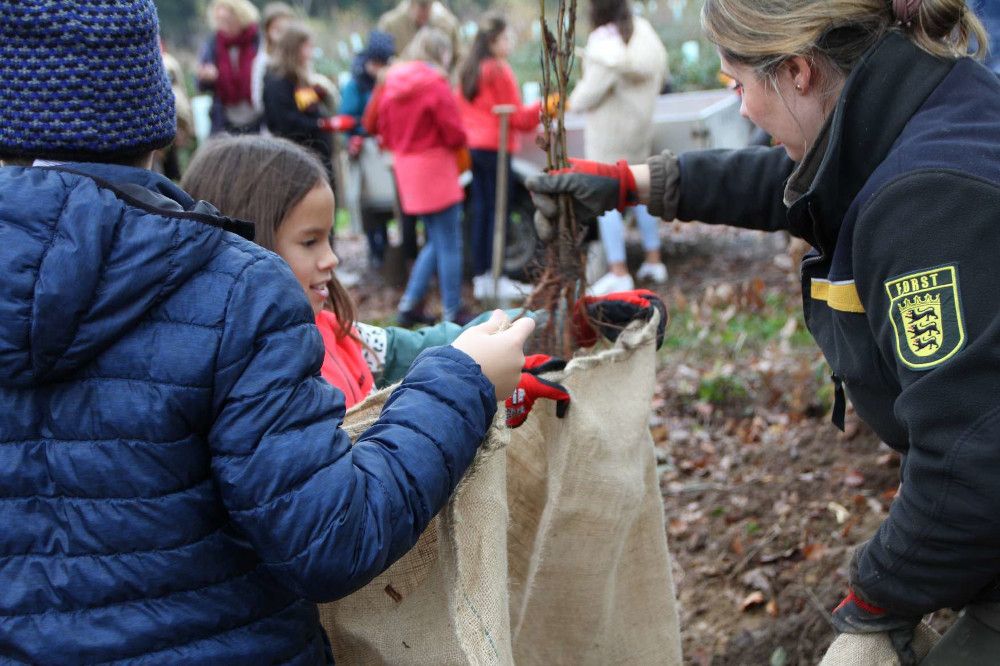 Sedus pflanzt Bäume für die Natur und die Zukunft