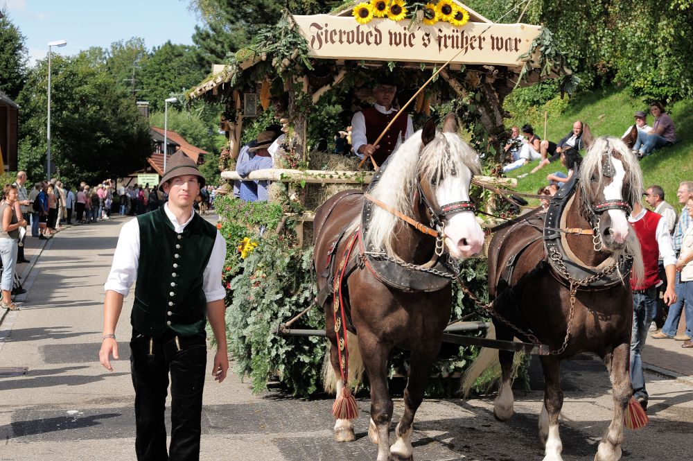 31. Roßfest: St. Märgen feiert das Schwarzwälder Kaltblut