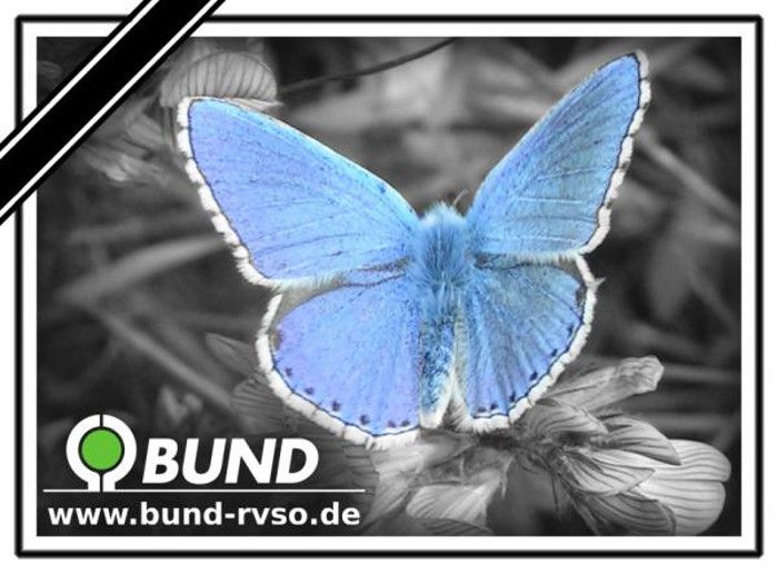 Bauernverband stellt Insektensterben als Erfindung dar
