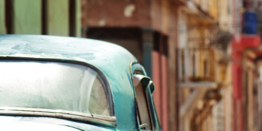 Ein Jahr auf der Insel