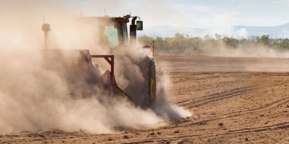 Wann kommt endlich der Regen?