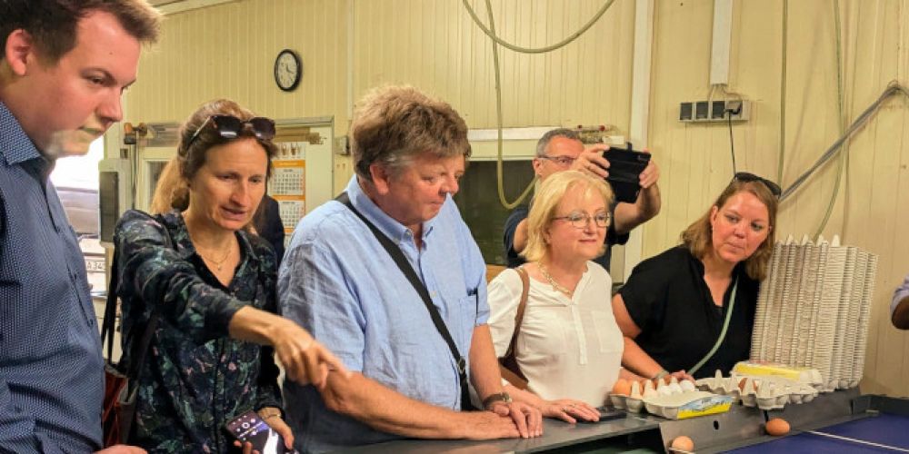 Geflügelhof Kaiser lädt zum Brunch auf dem Bauernhof