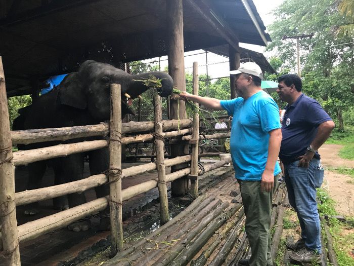 Ai Weiwei und VIER PFOTEN besuchen Arbeitselefanten in Myanmar