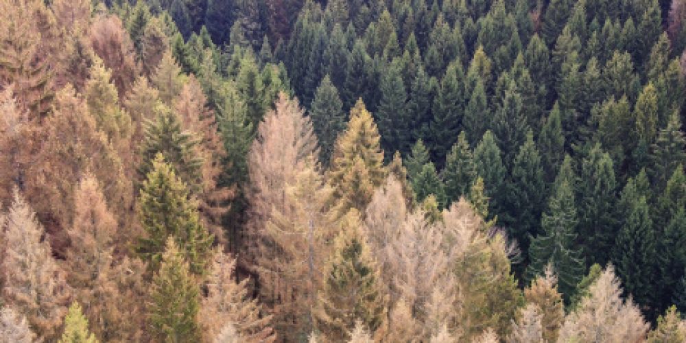 Zweitwärmstes Jahr seit 1881