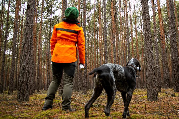 Klimageschädigter Wald: Mehr Forstpersonal im Kreis Konstanz gefordert