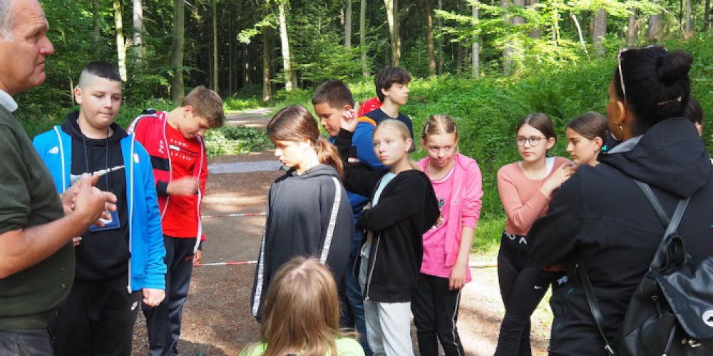 Schüler erkunden mit Kreisforstamt den Klimawandelpfad