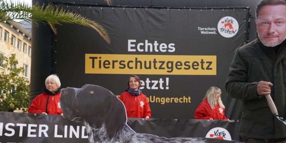 Auch Jagdhunde brauchen ihren Schwanz