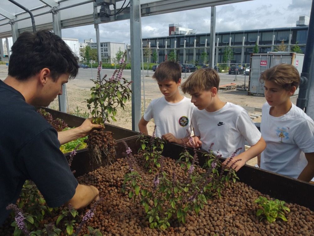 Bischöfliche Marienschule Mönchengladbach besucht Aquaponik-Anlage „Urban Nature“ in Düsseldorf