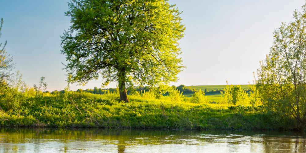 Aufwärtstrend zum Wochenende