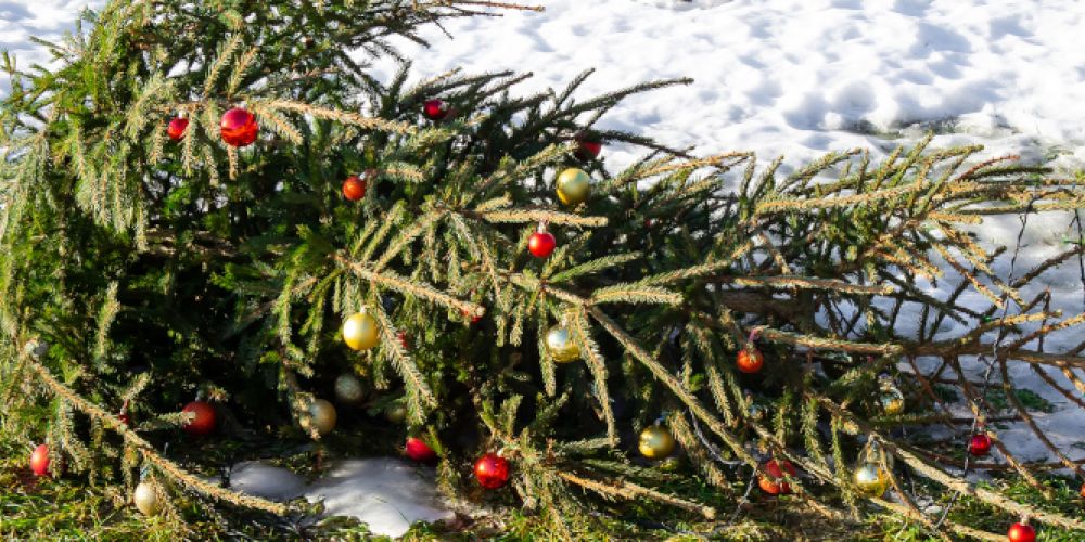 Turbulentes Wetter bis zum Weihnachtsfest