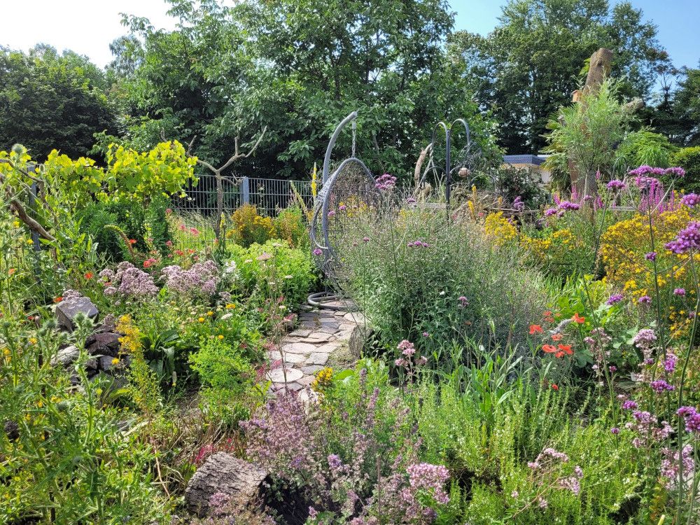 Deutschland summt!-Pflanzwettbewerb mit 489 Beiträgen erfolgreich beendet