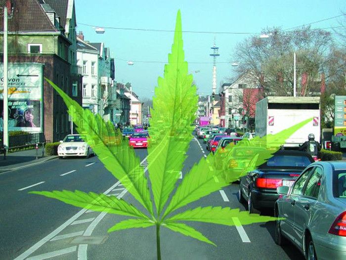 Fahrtüchtig mit medizinischem Cannabis?
