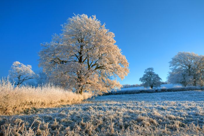 Eisiges Winterwetter kommt