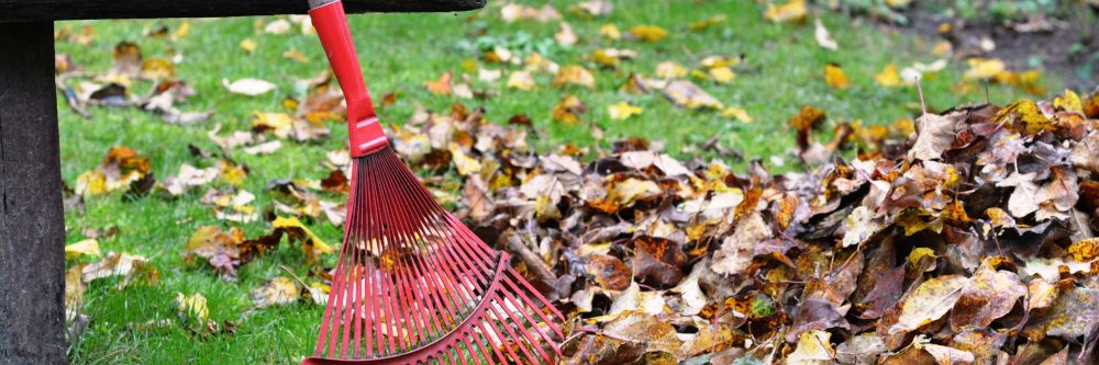 Neue Clips der virtuellen Kulturroute im Naturpark Südschwarzwald