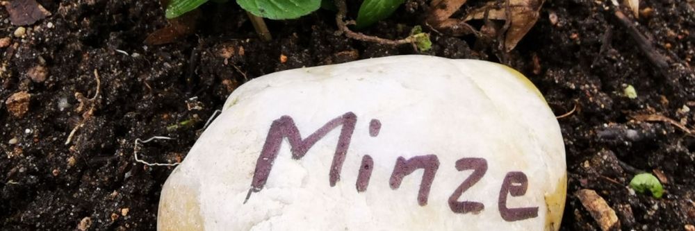 Mit guten Gartenvorsätzen ins neue Jahr