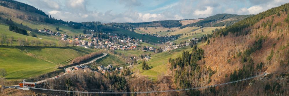 Lesen auf dem Berg: Preisgekrönte Autor:innen bei den Literaturtagen Todtnauberg