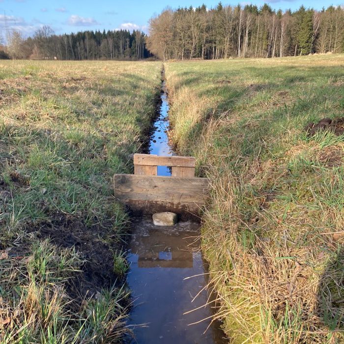 DBU: Sorgsam mit Wasser umgehen