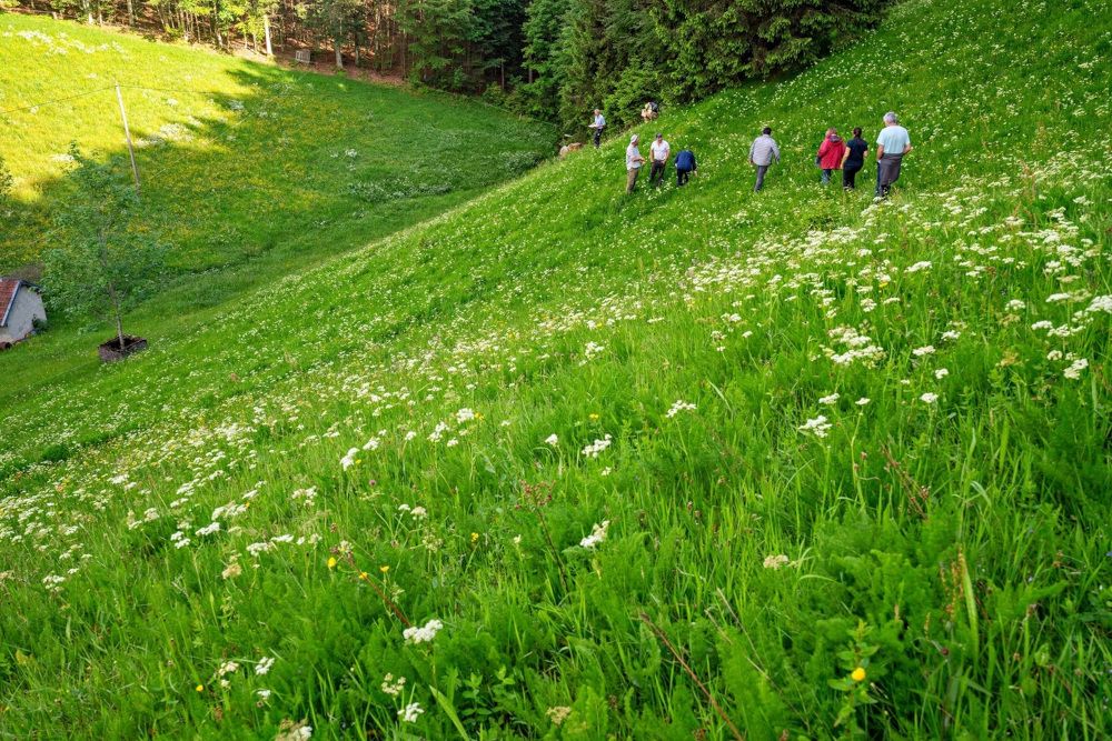 Deutsch-französische Wiesenmeisterschaft im Naturpark
