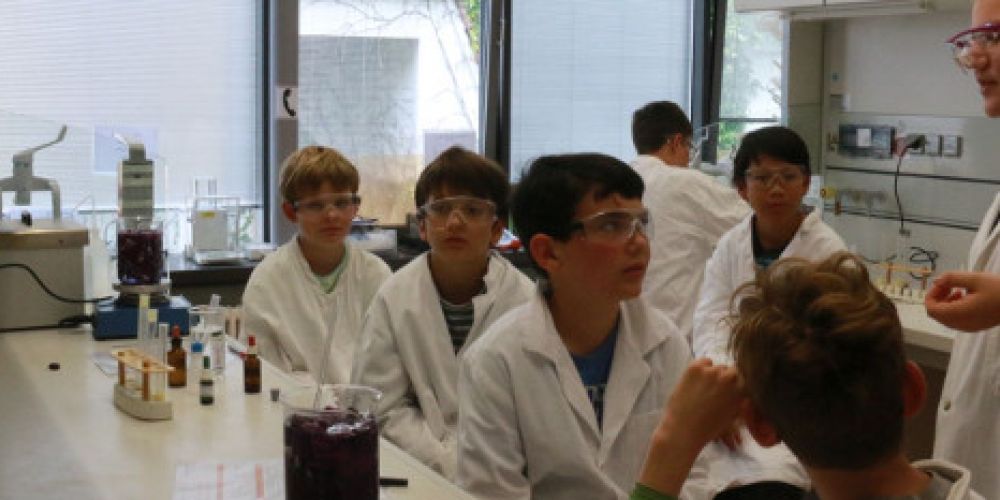 phaenovum Schülerforschungszentrum stellt neues Kursprogramm vor