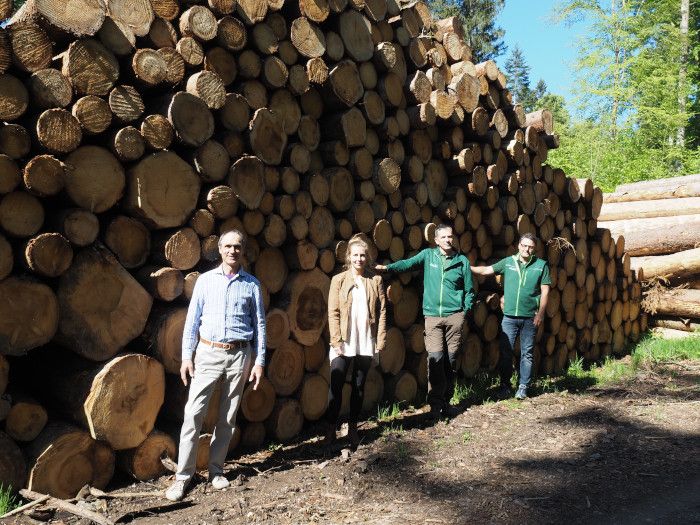 Die Waldgenossenschaft Südschwarzwald leistet erfolgreiche Arbeit in schwierigem Umfeld