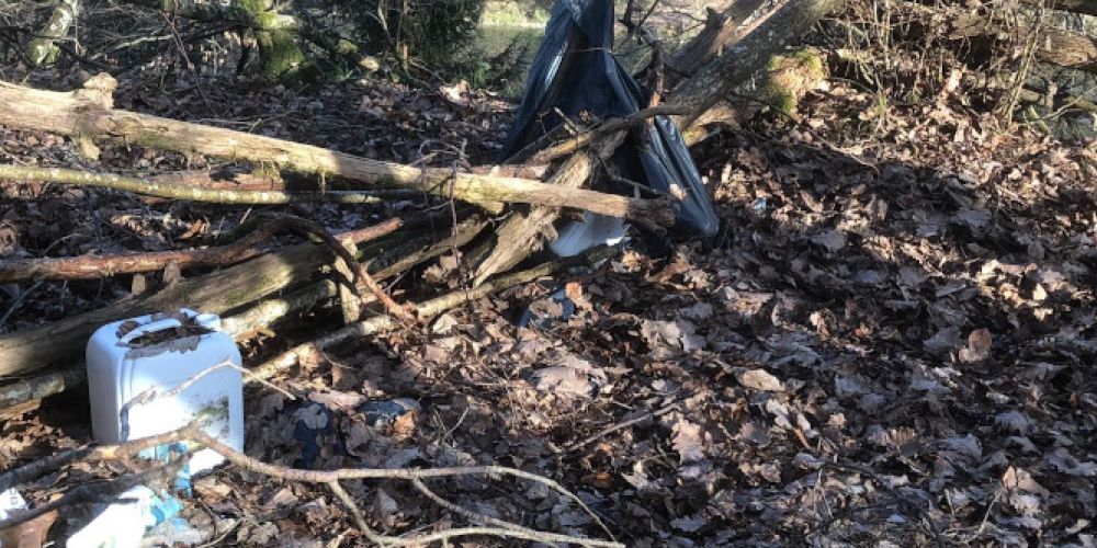 Vermehrte Entsorgung von Abfall in den Wäldern