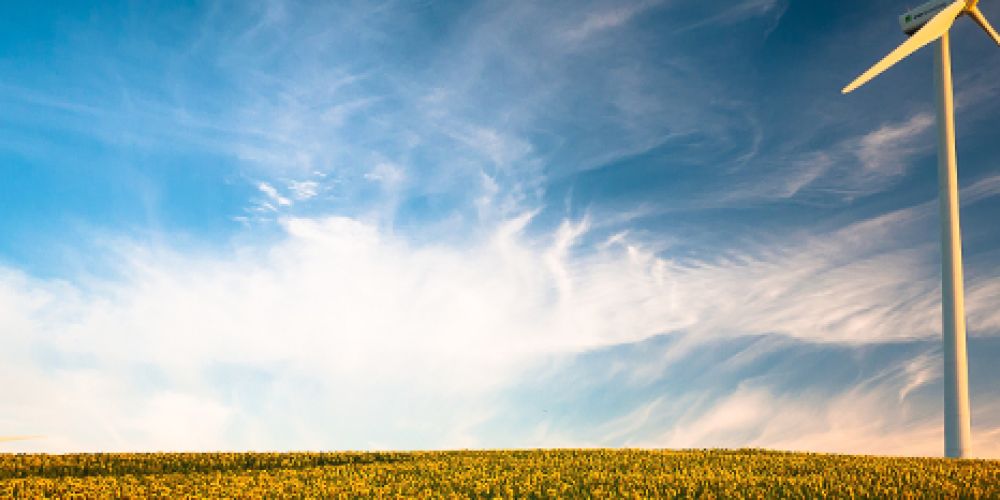 Der Weltstudententag am 17. November feiert angehende Akademiker