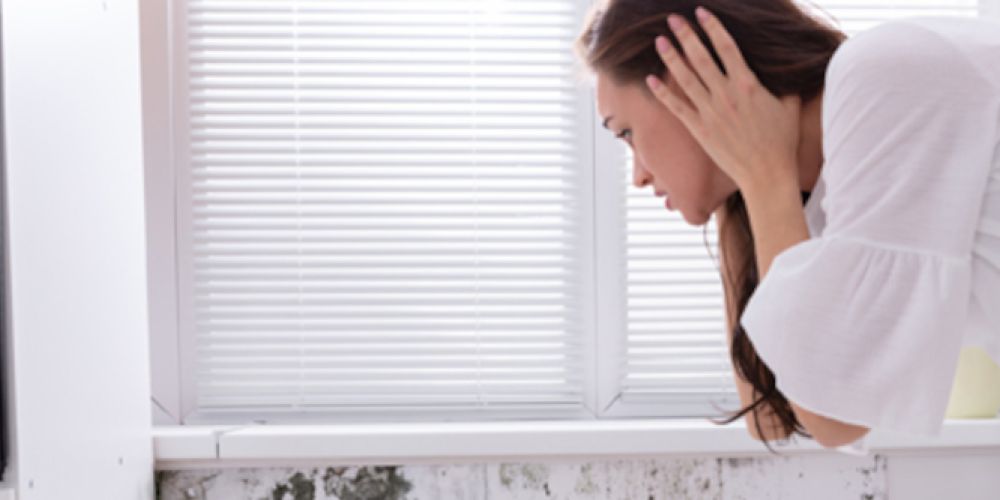 Runter mit der Heizung: Wie lässt sich Schimmelbildung vermeiden?