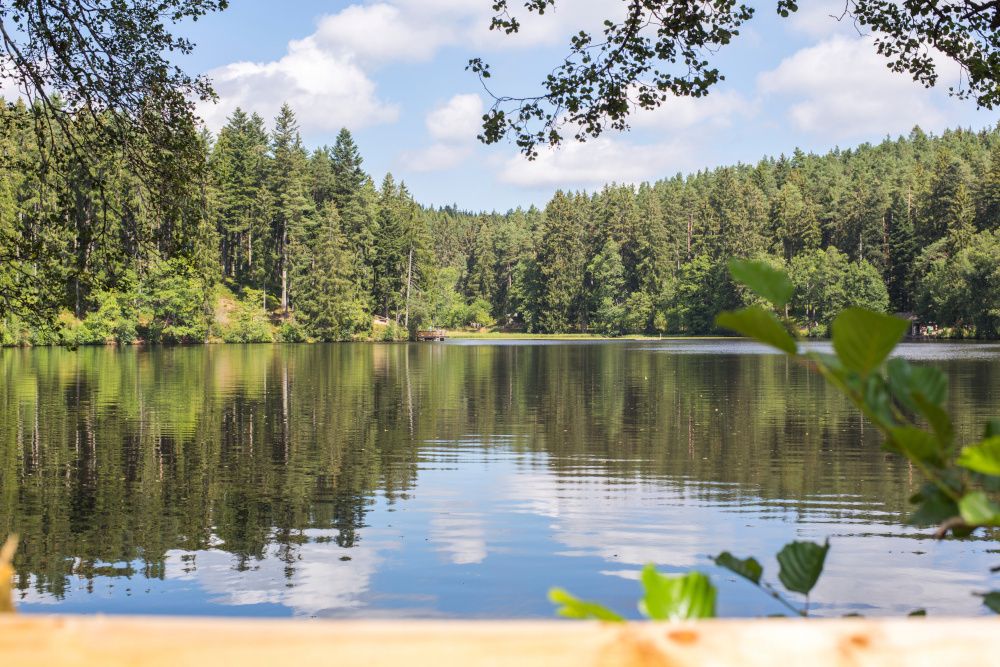 Abkühlung an heißen Tagen: Badetipps im Hochschwarzwald