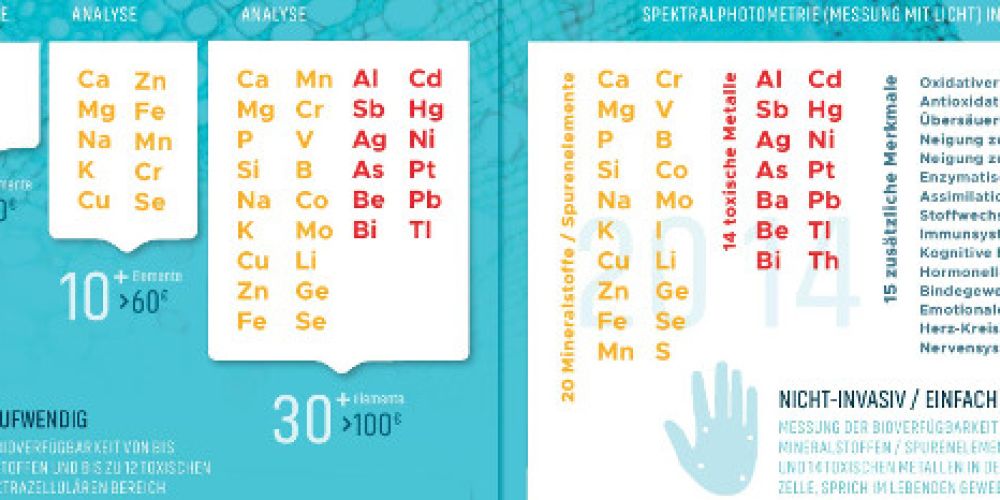 Toxische Metalle als Gesundheits-Blocker