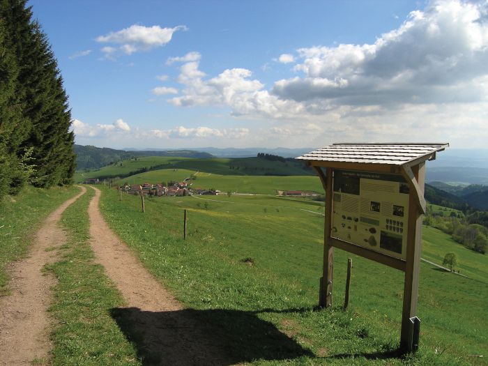 Tipps für spannende und entspannte Schwarzwald-Tage