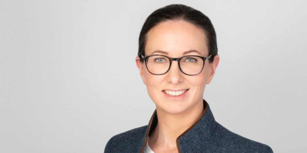 Die großmaßstäbliche Holzverbrennung aus ein Irrweg