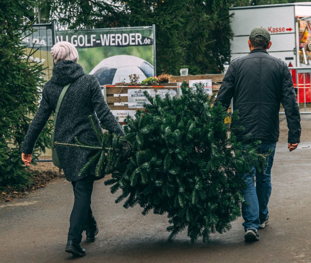 Die Erzeuger sichern zu, dass in jedem Haushalt ein natürlicher Weihnachtsbaum stehen kann
