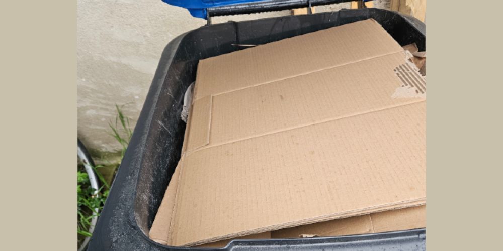 Eigenbetrieb Abfallwirtschaft appelliert an Trennung