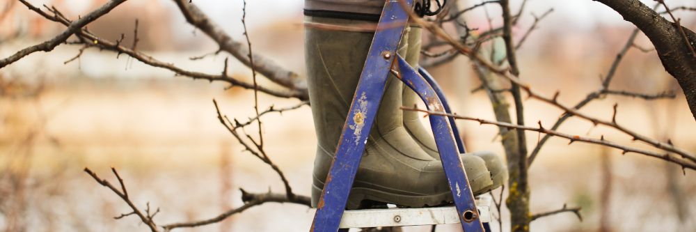 Frühsport für den grünen Daumen