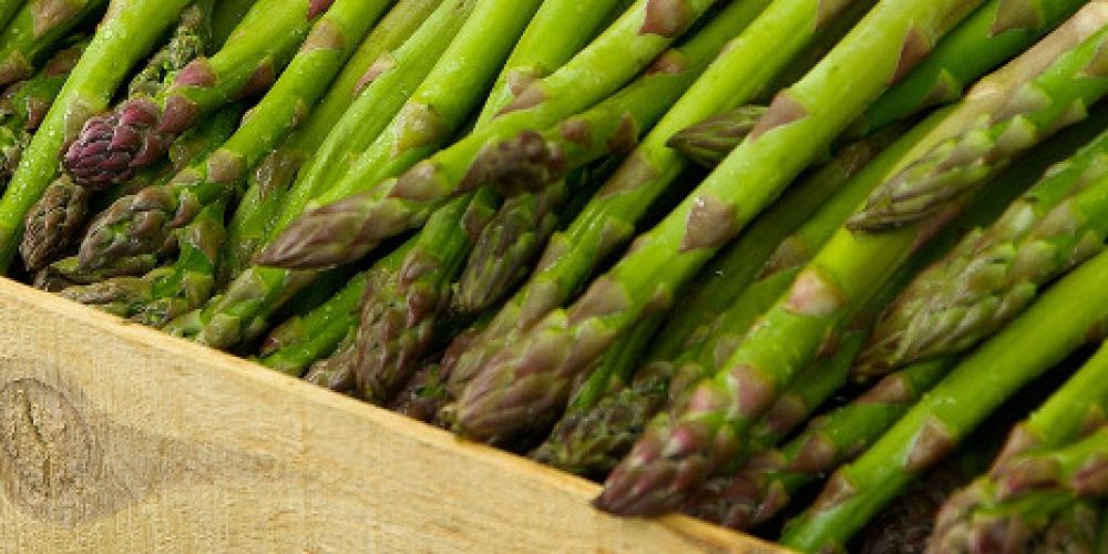 Im Norden ist das beliebte Gemüse am teuersten