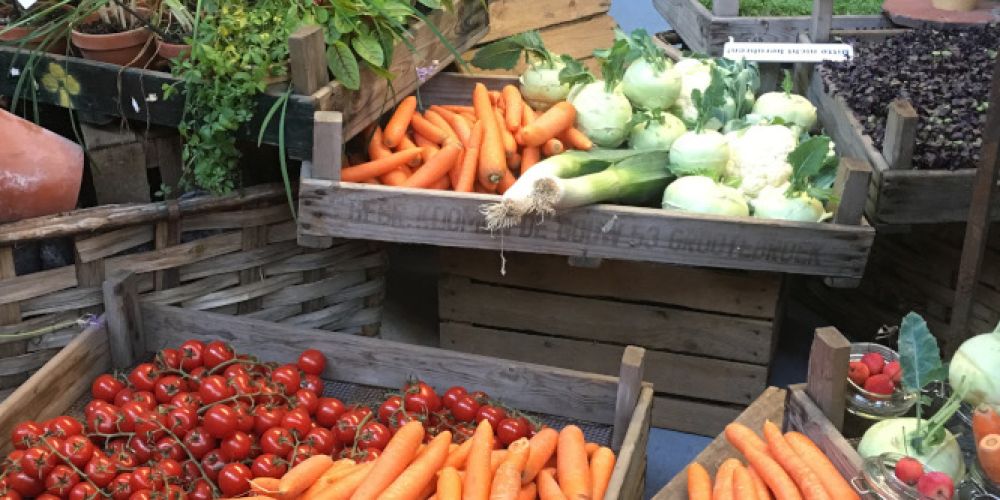 Praktische Tipps für Ernte und Lagerung