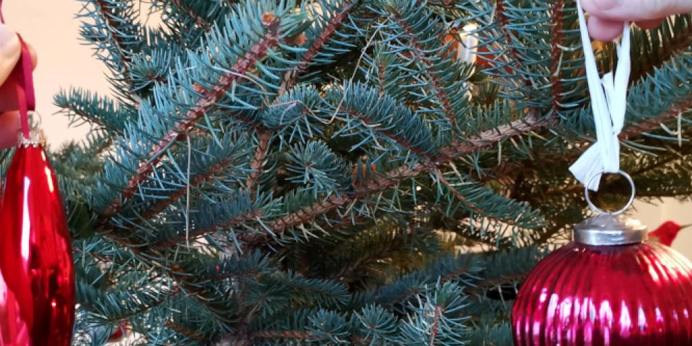 Weihnachtsbäume unterstützen das Wohlbefinden