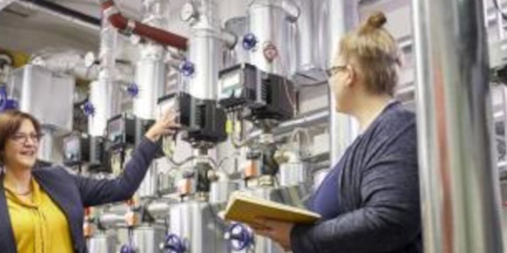 Erneuerbar gespeistes Wärmenetz errichtet: Contractingprojekt in Rekordzeit fertiggestellt