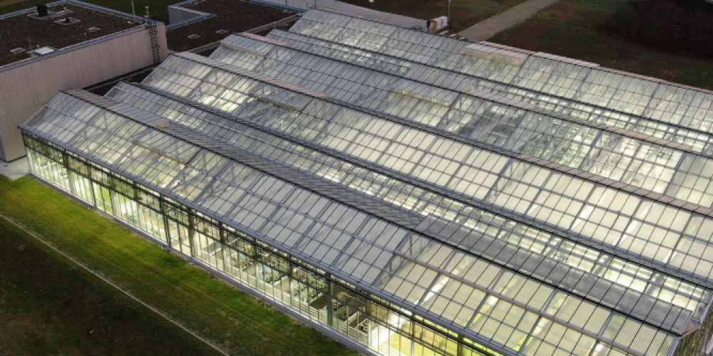 High-Tech-Gewächshaus für Klimaforschung & Bioökonomie