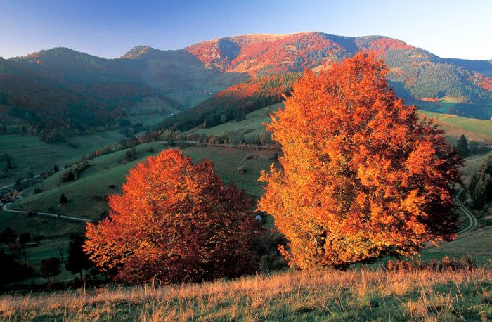 Multivisionsvortrag über den Schwarzwald in Steinen