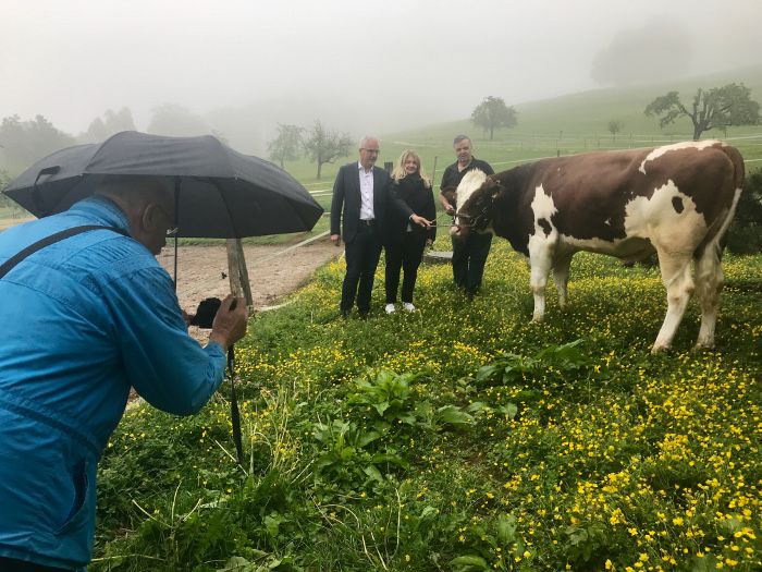Munitaufe im Herzen von Basel