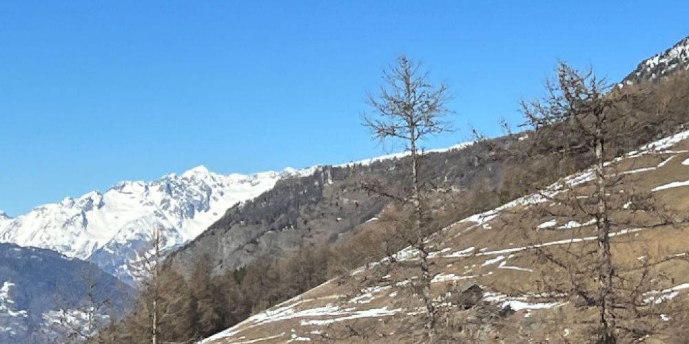 Historische Schneearmut in den Alpen führt zu Wassermangel