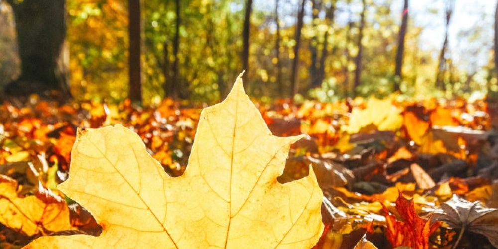 Oktoberbilanz: Mild, aber nicht überall golden