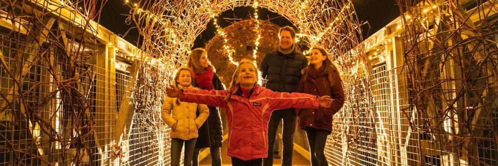 Das Ahrtal leuchtet wieder: Glänzende Winterwelt bei den Uferlichtern