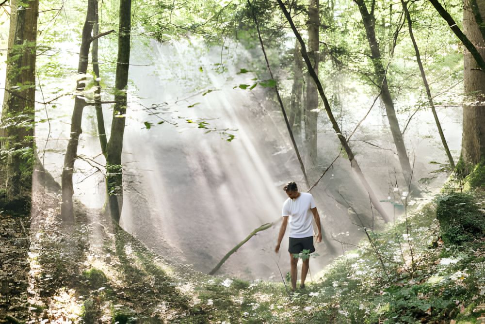 Bayerns Kurwälder werden zum Gesundheitsmodell der Zukunft