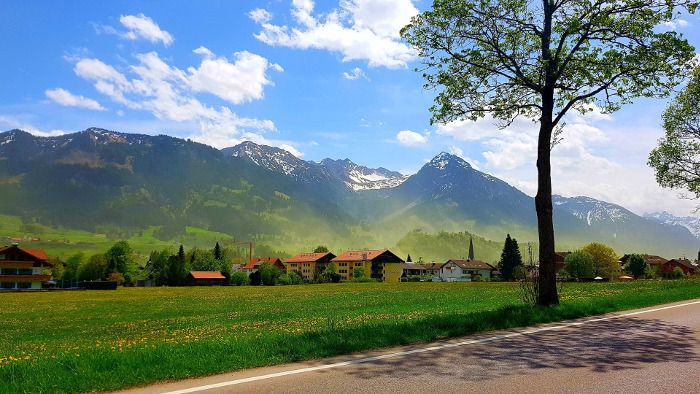 Woher kommt der ganze Blütenstaub?