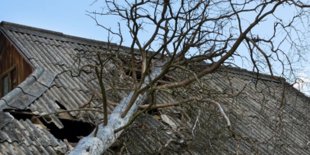 Wer zahlt bei Sturmschäden?