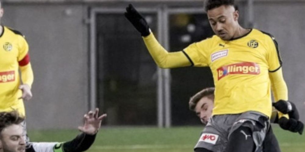 Remis gegen Black Stars