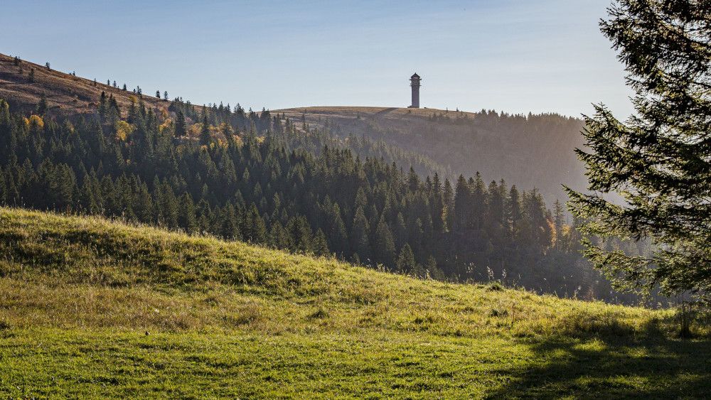Jubiläumsveranstaltungen im September